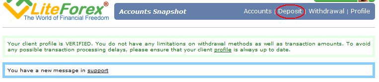 liteforex入金教程2.jpg